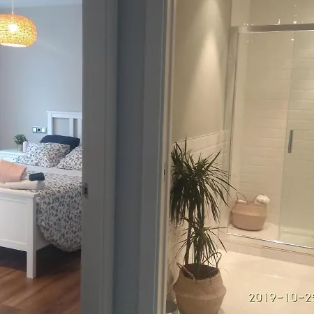 Apartment Liib